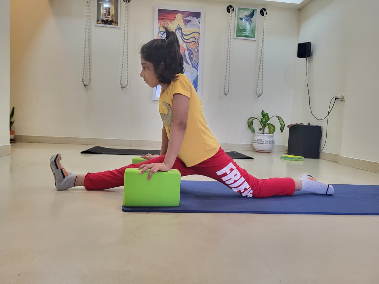 WhatsApp Image 2026-02-01 at 12.34.07 (4).jpeg